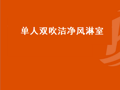 单人双吹洁净风淋室（双人双吹风淋室）